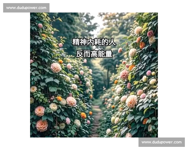以能量补给为核心打造高效生活方式提升身体与心理双重能量的全面方案